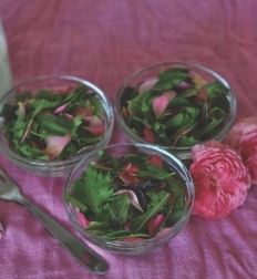 Rose Petal Salad with Rucola, Mint and  Celery