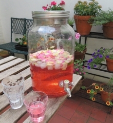 Summer rose drink