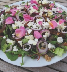 Salad with figs  and feta